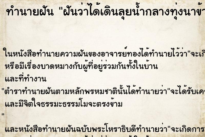 ทำนายฝันทำนายฝันฝันว่าได้เดินลุยน้ำกลางทุ่งนาข้าว