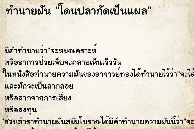 ทำนายฝัน โดนปลากัดเป็นแผล ทำนายฝัน โดนปลากัดเป็นแผล