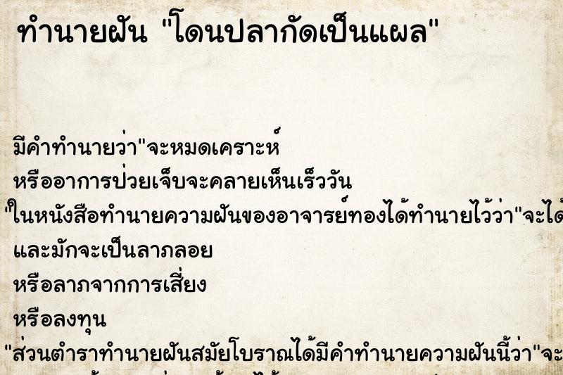 ทำนายฝัน โดนปลากัดเป็นแผล ตำราโบราณ แม่นที่สุดในโลก