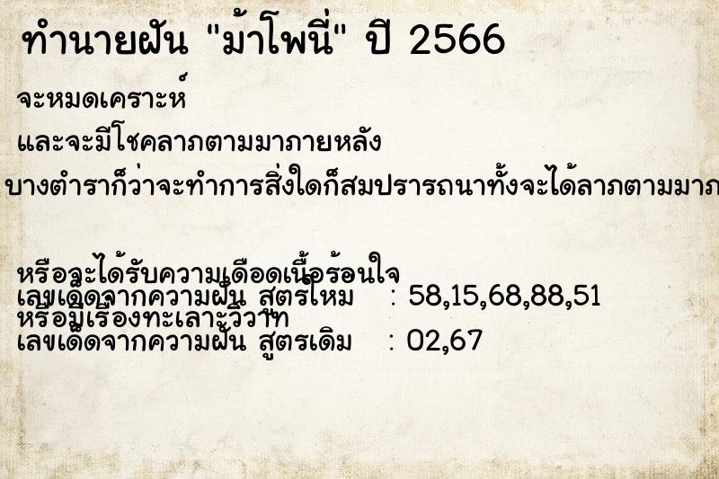 ทำนายฝัน ม้าโพนี่ ตำราโบราณ แม่นที่สุดในโลก