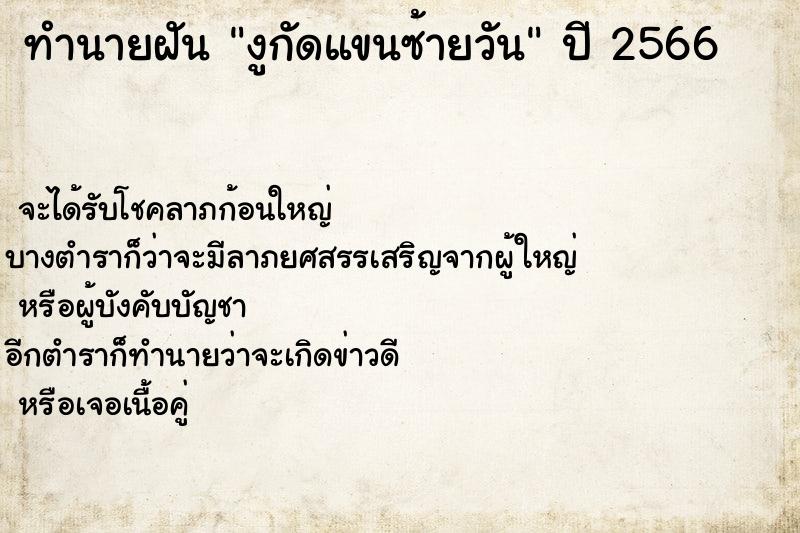 ทำนายฝันงูกัดแขนซ้ายวัน ทำนายฝันทำนายฝันงูกัดแขนซ้ายวัน