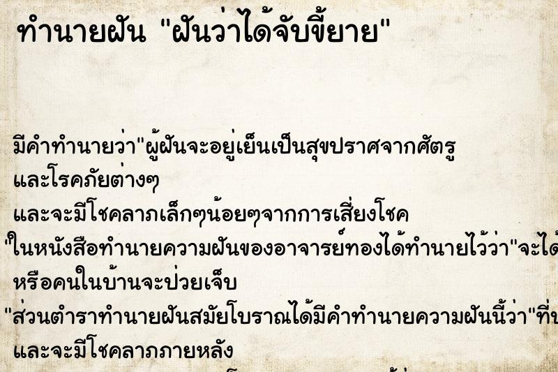 ทำนายฝันฝันว่าได้จับขี้ยาย ทำนายฝันทำนายฝันฝันว่าได้จับขี้ยาย