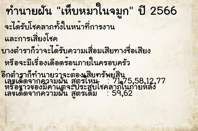 ทำนายฝัน เห็บหมาในจมูก ทำนายฝัน เห็บหมาในจมูก