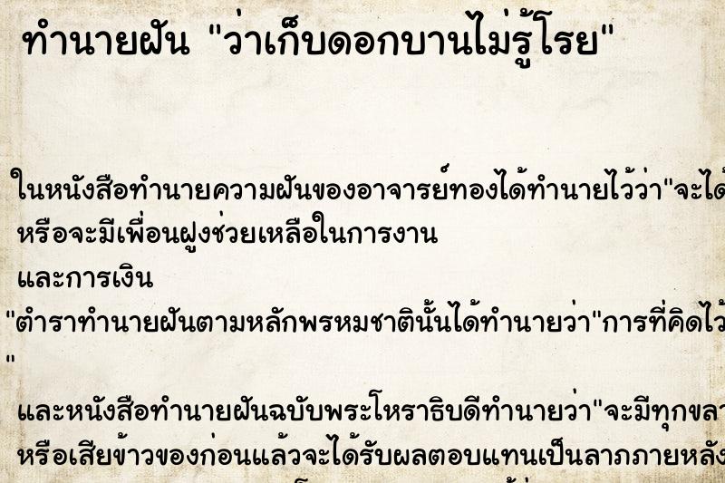 ทำนายฝันว่าเก็บดอกบานไม่รู้โรย ทำนายฝันทำนายฝันว่าเก็บดอกบานไม่รู้โรย