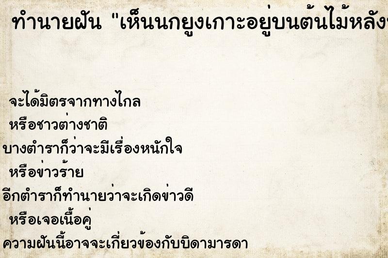 ทำนายฝันเห็นนกยูงเกาะอยู่บนต้นไม้หลังบ้านประมาณ4ตัว ทำนายฝันทำนายฝันเห็นนกยูงเกาะอยู่บนต้นไม้หลังบ้านประมาณ4ตัว