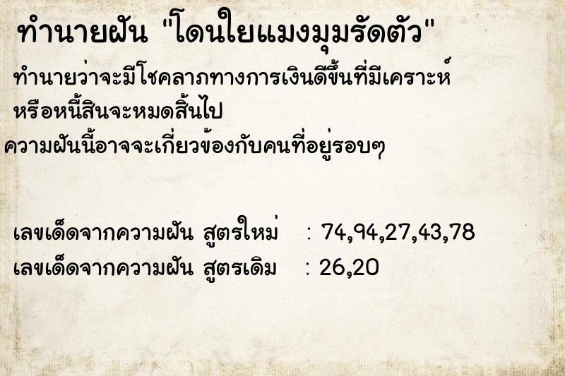 ทำนายฝัน โดนใยแมงมุมรัดตัว ทำนายฝัน โดนใยแมงมุมรัดตัว