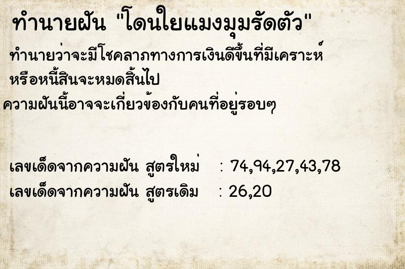 ทำนายฝัน โดนใยแมงมุมรัดตัว ตำราโบราณ แม่นที่สุดในโลก