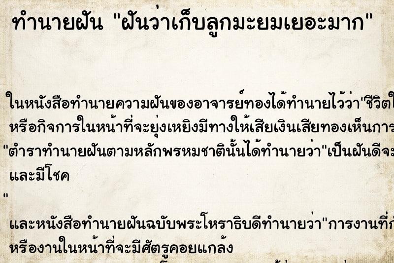 ทำนายฝัน ฝันว่าเก็บลูกมะยมเยอะมาก ทำนายฝัน ฝันว่าเก็บลูกมะยมเยอะมาก