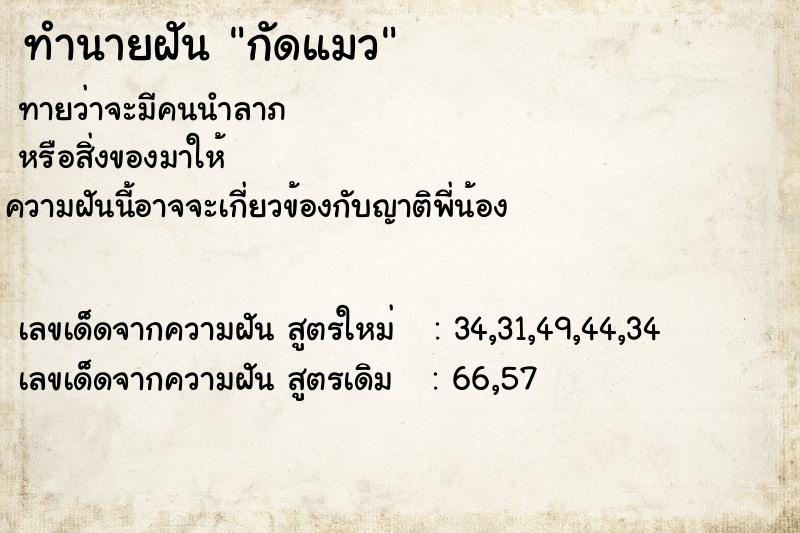 ทำนายฝัน กัดแมว