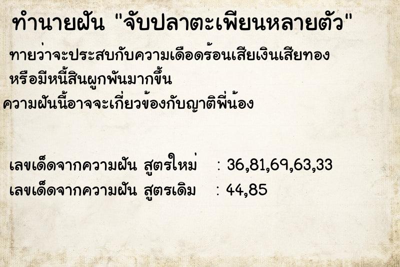 ทำนายฝัน จับปลาตะเพียนหลายตัว