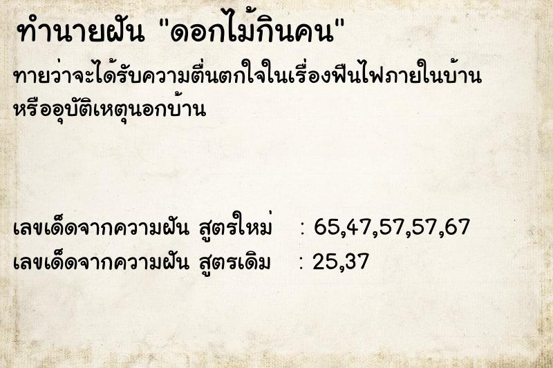 ทำนายฝัน ดอกไม้กินคน ทำนายฝัน ดอกไม้กินคน