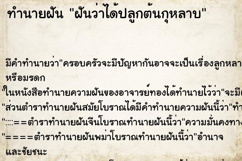 ทำนายฝันทำนายฝันฝันว่าได้ปลูกต้นกุหลาบ