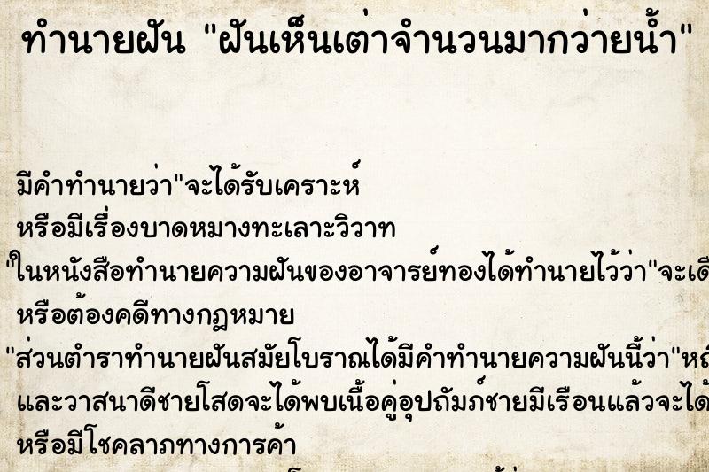 ทำนายฝัน ฝันเห็นเต่าจำนวนมากว่ายน้ำ ทำนายฝัน ฝันเห็นเต่าจำนวนมากว่ายน้ำ
