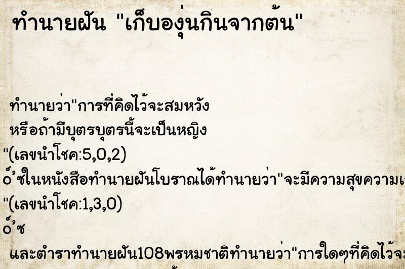 ทำนายฝัน เก็บองุ่นกินจากต้น ตำราโบราณ แม่นที่สุดในโลก