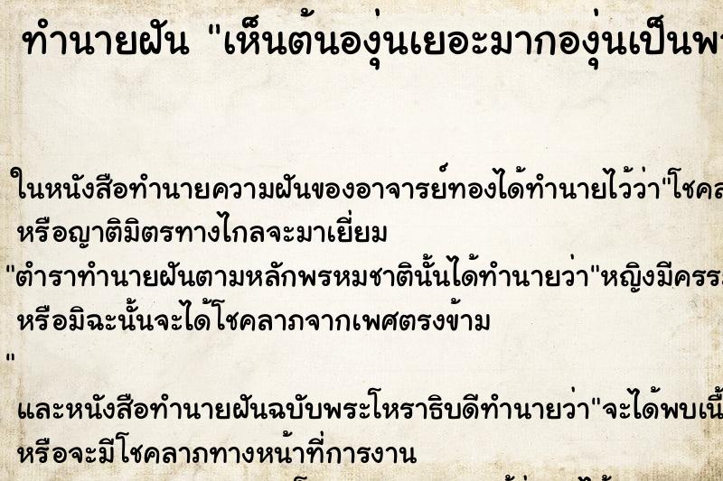 ทำนายฝันเห็นต้นองุ่นเยอะมากองุ่นเป็นพวงเลย ทำนายฝันทำนายฝันเห็นต้นองุ่นเยอะมากองุ่นเป็นพวงเลย