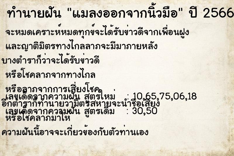 ทำนายฝันแมลงออกจากนิ้วมือ ทำนายฝันทำนายฝันแมลงออกจากนิ้วมือ