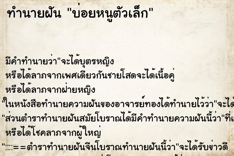 ทำนายฝันทำนายฝันบ่อยหนูตัวเล็ก