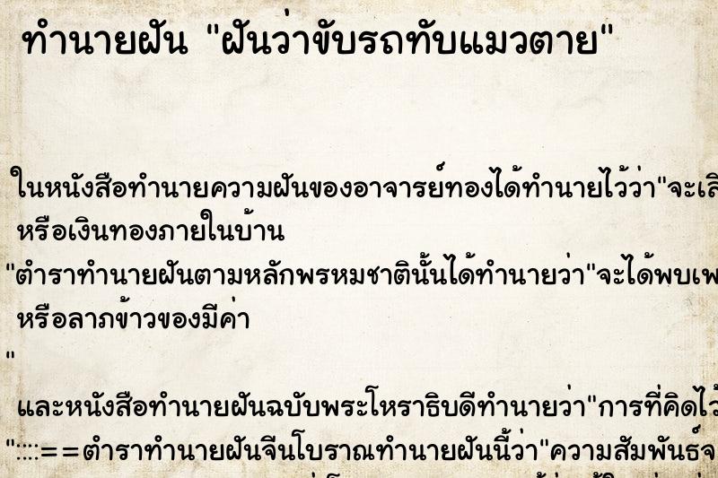 ทำนายฝันฝันว่าขับรถทับแมวตาย ทำนายฝันทำนายฝันฝันว่าขับรถทับแมวตาย