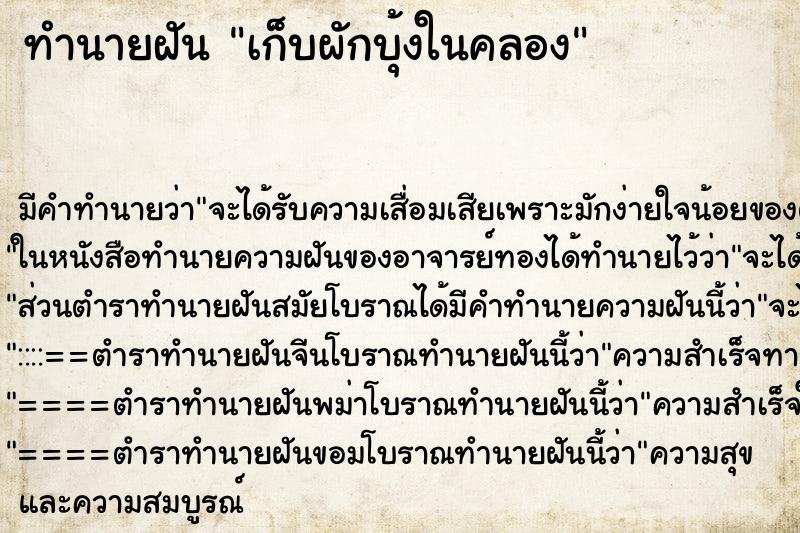 ทำนายฝัน เก็บผักบุ้งในคลอง ทำนายฝัน เก็บผักบุ้งในคลอง