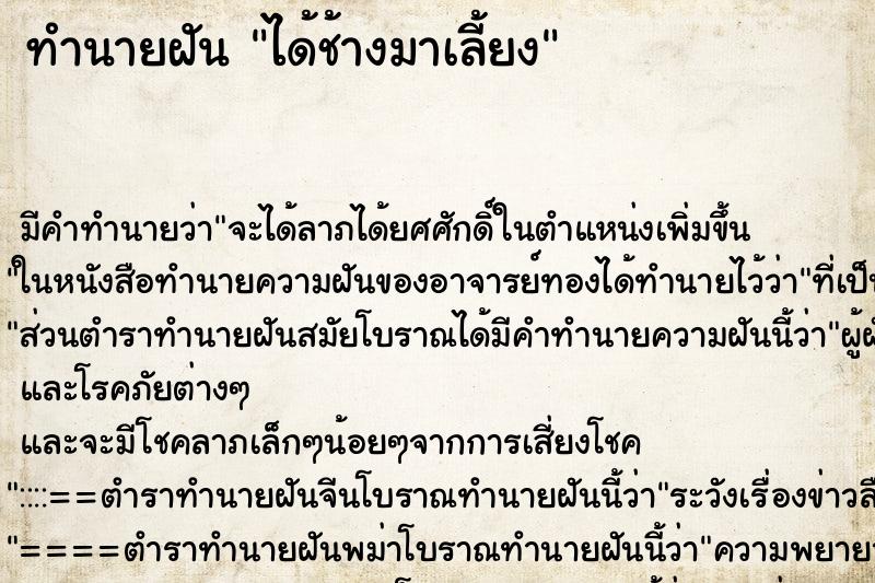 ทำนายฝันได้ช้างมาเลี้ยง ทำนายฝันทำนายฝันได้ช้างมาเลี้ยง