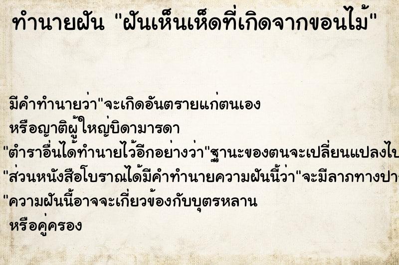 ทำนายฝันฝันเห็นเห็ดที่เกิดจากขอนไม้ ทำนายฝันทำนายฝันฝันเห็นเห็ดที่เกิดจากขอนไม้