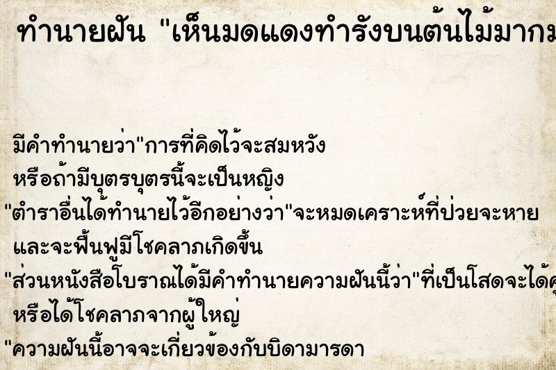 ทำนายฝันเห็นมดแดงทำรังบนต้นไม้มากมาย ทำนายฝันทำนายฝันเห็นมดแดงทำรังบนต้นไม้มากมาย