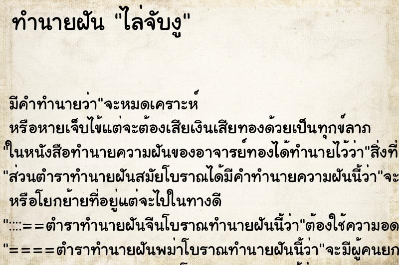 ทำนายฝัน ไล่จับงู แม่นๆ ฟรี ด้วยตำราหนังสือทำนายฝันโบราณ ทำนายฝันไล่จับงู