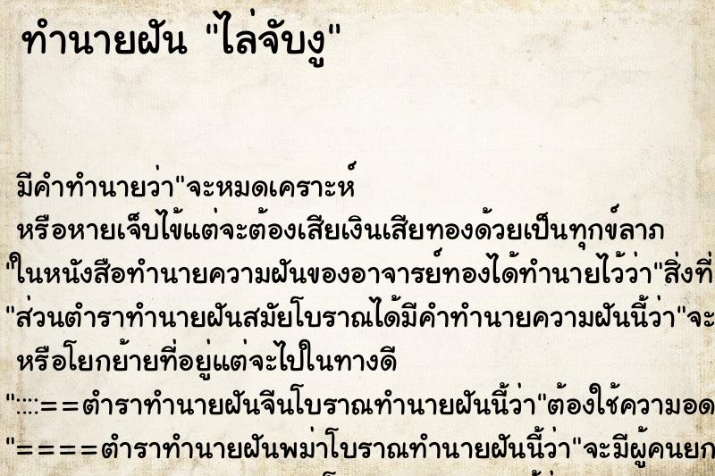 ทำนายฝัน ไล่จับงู ตำราโบราณ แม่นที่สุดในโลก