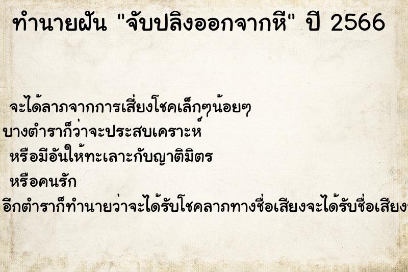 ทำนายฝันทำนายฝันจับปลิงออกจากหี