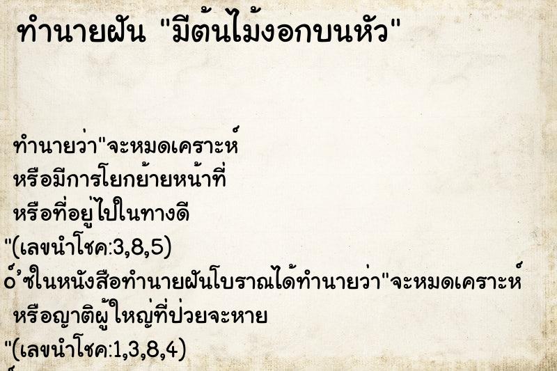 ทำนายฝัน มีต้นไม้งอกบนหัว ทำนายฝัน มีต้นไม้งอกบนหัว