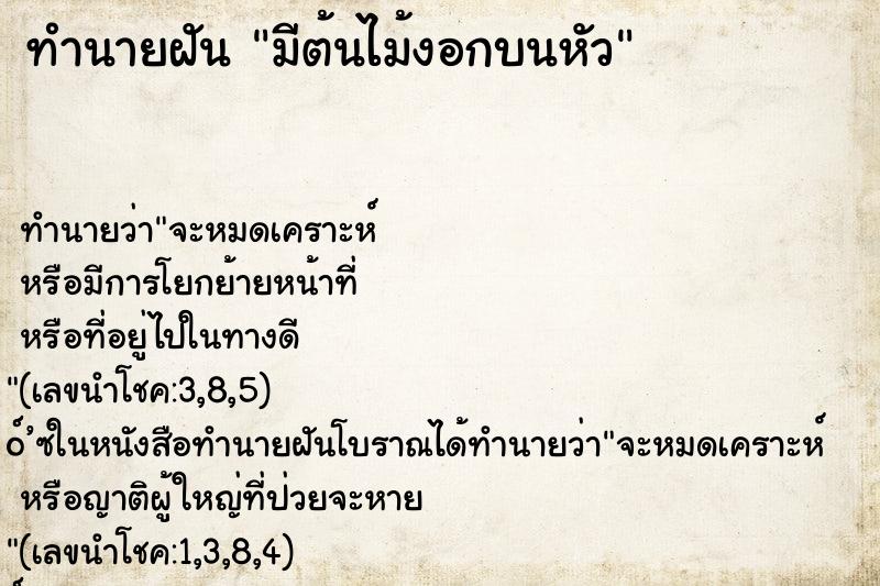 ทำนายฝัน มีต้นไม้งอกบนหัว ตำราโบราณ แม่นที่สุดในโลก