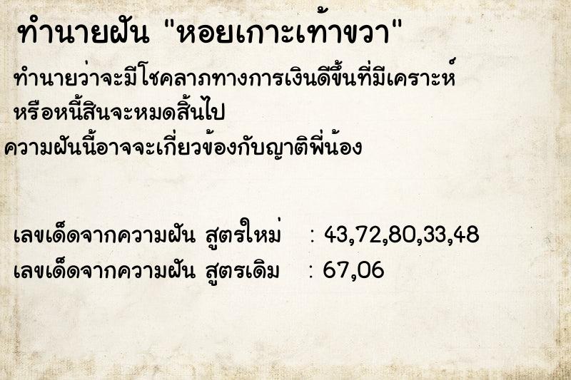 ทำนายฝันทำนายฝันหอยเกาะเท้าขวา
