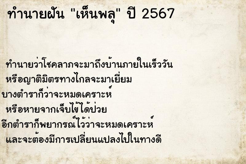 ทำนายฝัน เห็นพลุ ทำนายฝัน เห็นพลุ