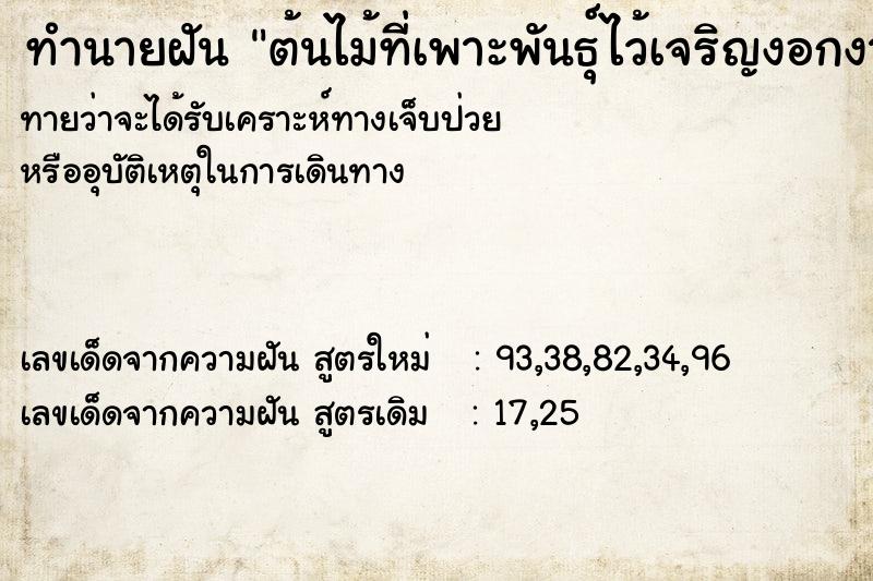 ทำนายฝัน ต้นไม้ที่เพาะพันธุ์ไว้เจริญงอกงามดี ตำราโบราณ แม่นที่สุดในโลก