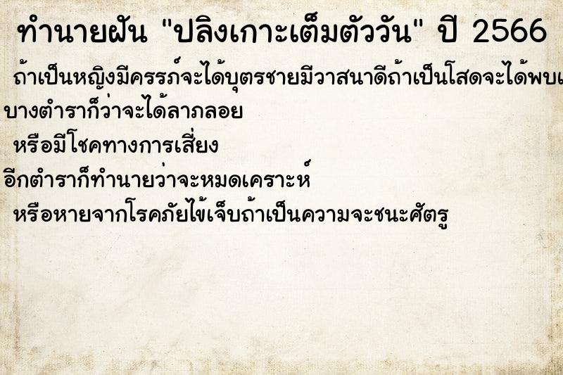 ทำนายฝัน ปลิงเกาะเต็มตัววัน