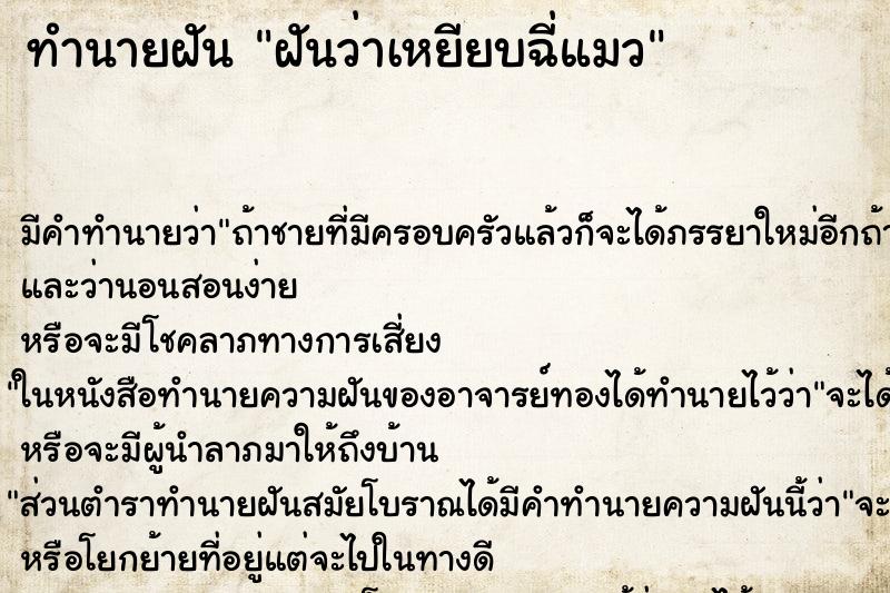 ทำนายฝันฝันว่าเหยียบฉี่แมว ทำนายฝันทำนายฝันฝันว่าเหยียบฉี่แมว