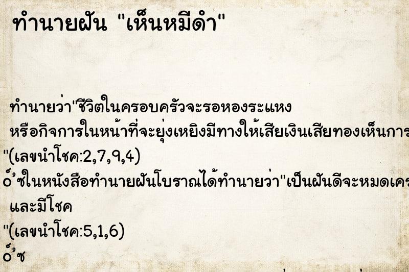 ทำนายฝันเห็นหมีดํา ทำนายฝันทำนายฝันเห็นหมีดํา