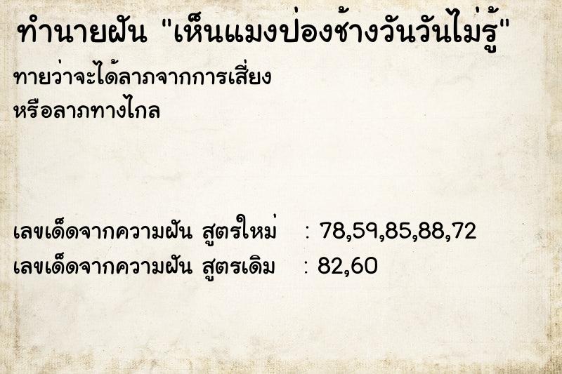 ทำนายฝันทำนายฝันเห็นแมงป่องช้างวันวันไม่รู้