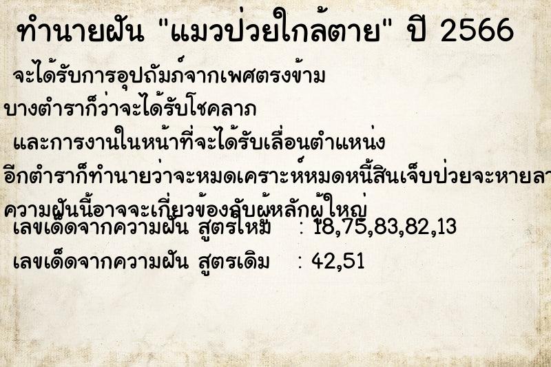 ทำนายฝัน แมวป่วยใกล้ตาย ทำนายฝัน แมวป่วยใกล้ตาย