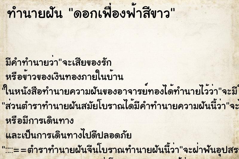 ทำนายฝัน ดอกเฟื่องฟ้าสีขาว ทำนายฝัน ดอกเฟื่องฟ้าสีขาว