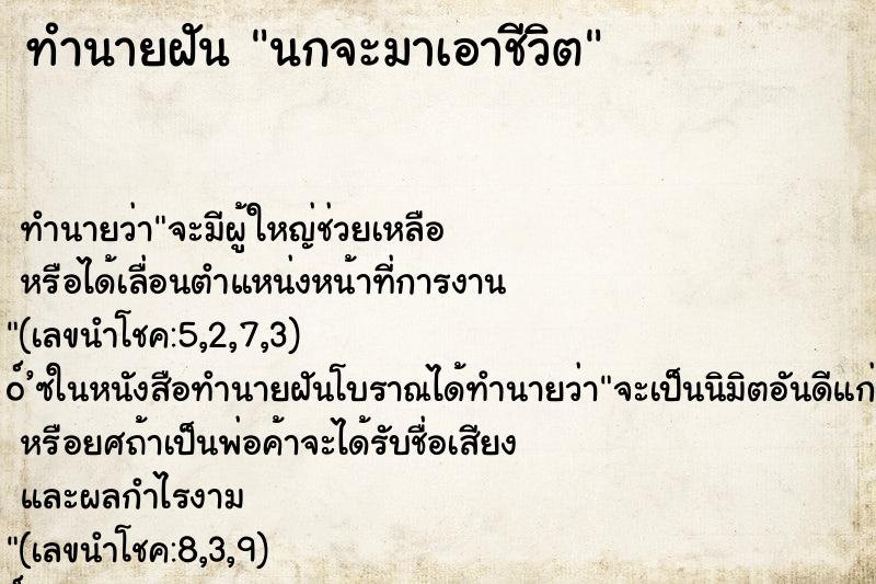 ทำนายฝันนกจะมาเอาชีวิต ทำนายฝันทำนายฝันนกจะมาเอาชีวิต