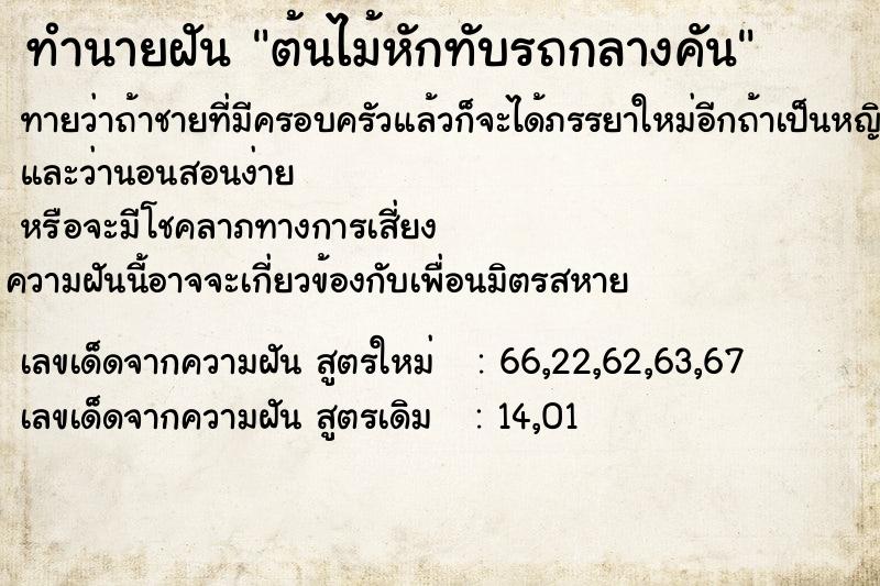 ทำนายฝันต้นไม้หักทับรถกลางคัน ทำนายฝันทำนายฝันต้นไม้หักทับรถกลางคัน