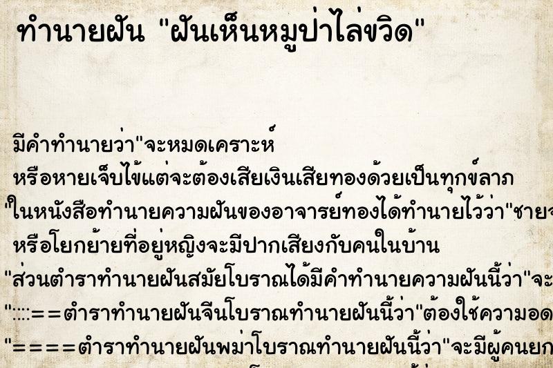 ทำนายฝัน ฝันเห็นหมูป่าไล่ขวิด ตำราโบราณ แม่นที่สุดในโลก