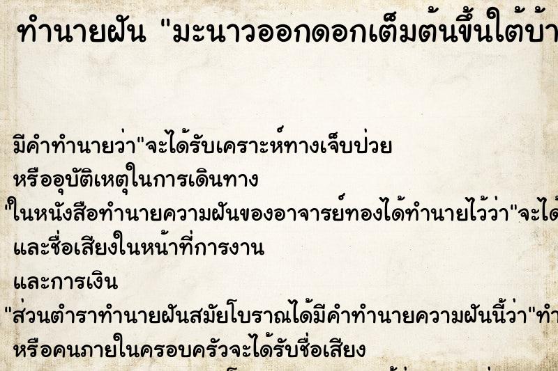 ทำนายฝัน มะนาวออกดอกเต็มต้นขึ้นใต้บ้าน ทำนายฝัน มะนาวออกดอกเต็มต้นขึ้นใต้บ้าน
