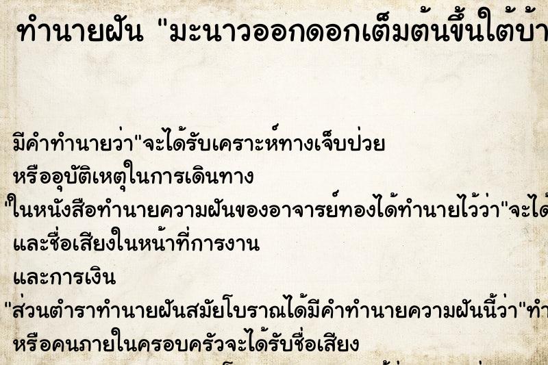 ทำนายฝัน มะนาวออกดอกเต็มต้นขึ้นใต้บ้าน ตำราโบราณ แม่นที่สุดในโลก