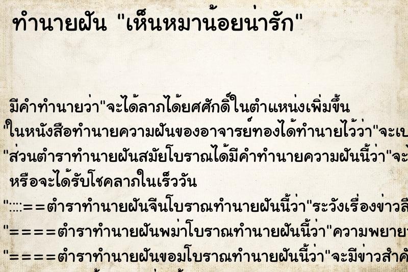 ทำนายฝัน เห็นหมาน้อยน่ารัก ทำนายฝัน เห็นหมาน้อยน่ารัก
