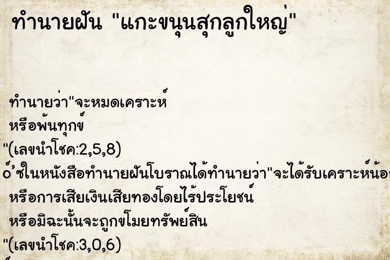 ทำนายฝัน แกะขนุนสุกลูกใหญ่