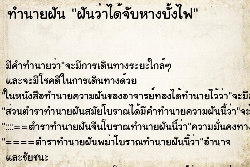 ทำนายฝันฝันว่าได้จับหางบั้งไฟ ทำนายฝันทำนายฝันฝันว่าได้จับหางบั้งไฟ