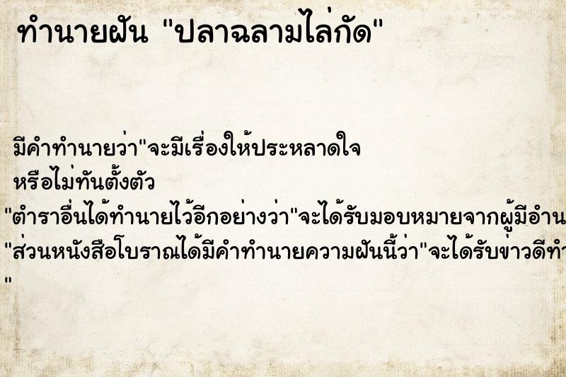ทำนายฝันปลาฉลามไล่กัด ทำนายฝันทำนายฝันปลาฉลามไล่กัด