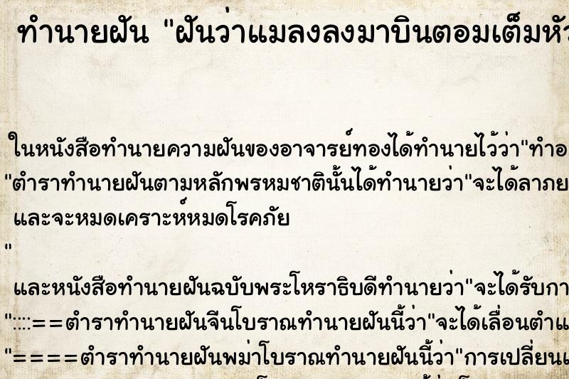 ทำนายฝันทำนายฝันฝันว่าแมลงลงมาบินตอมเต็มหัวเต็มตัวไปหมด